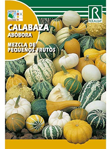 Semillas de Calabaza mezcla de pequeños frutos - Calidad y Versatilidad ?