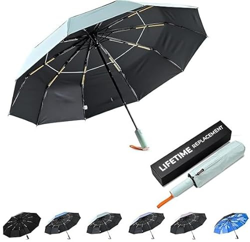 DryDay Travel Umbrellas for Rain - Large Windproof Double Canopy Umbrella, 10 Durable Ribs, Strong Frame, Auto Open Close Ergonomic Handle, Compact Waterproof Umbrella for Women & Men (Pale Green, 46)