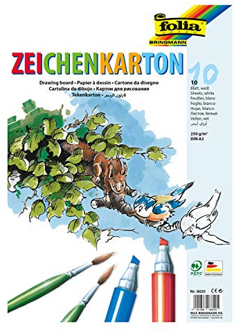 Folia 8820 Lot de 10 Feuilles de Papier à Dessin 250 g/m² Blanc Format A2 pour de Nombreuses idées créatives