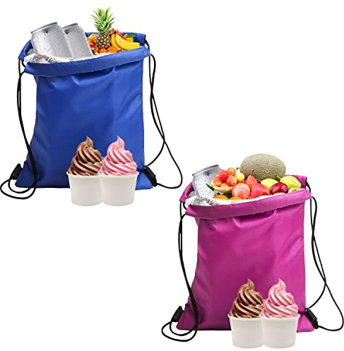 BEIIEB Isolierte Lunch-Taschen - 2er-Pack, Wasserdicht, Faltbar, Isoliert, Kühltaschen für Arbeit, Schule, Strand, Picknick, Rosa, Blau (27 x 33 cm)