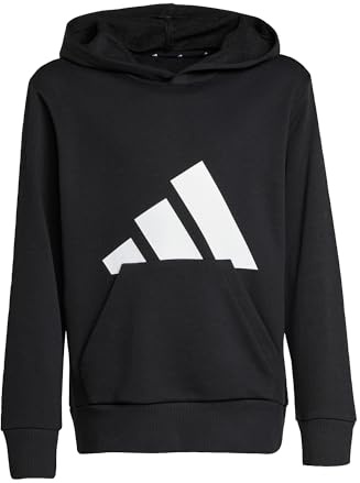 adidas Unisex niños Essentials Big Logo Hoodie Sweatshirt, Black/White, 11-12 Years