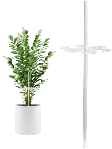 Rurunklee Pflanzenstützstab, Pflanzenstammstütze,Klarer Acryl-Pflanzenstützhaken - Pflanzenstammtrainer, Kletterpflanzenstütze für Gemüse, Blumen, Ranken, Orchideen, Rosenpflanzen
