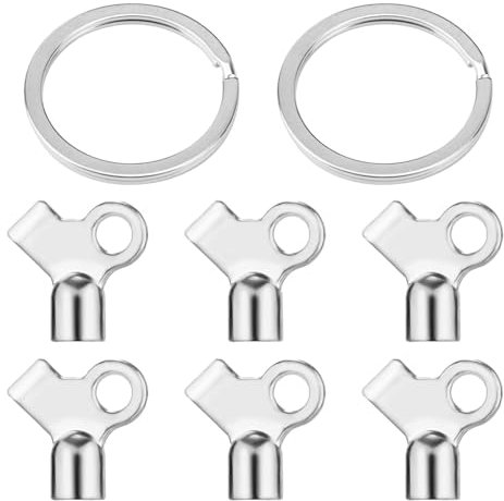 BOXOB 6 Pcs Radiator Bleed Valve Keys with 2 Pcs Keychains, Hot Water Radiator Bleeder Key Radiator Bleeding Air Valve Key Accessories for Venting Old Domestic Radiators Tool