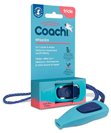 Coachi Whizzclick, 2-in-1 kombinierter Clicker und Pfeife, Hundetrainingspfeife für Rückruf- und Clickertraining zur Belohnung, verstellbares und reflektierendes Trageband, für alle Hunde und Welpen