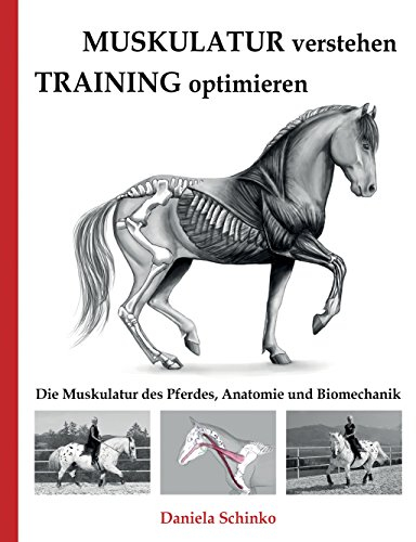 Muskulatur verstehen - Training optimieren: Die Muskulatur des Pferdes, Anatomie und Biomechanik