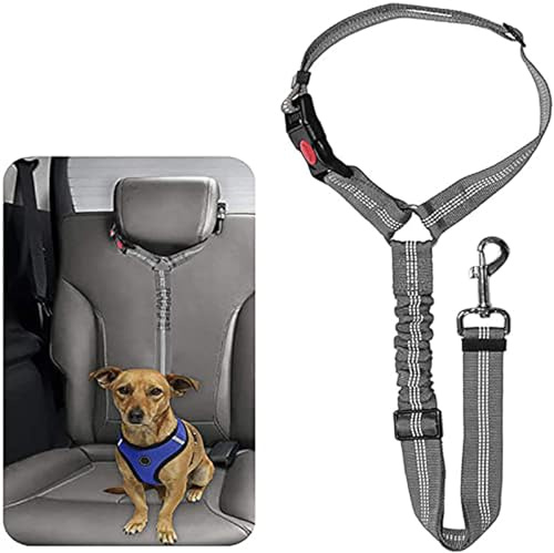 Ceinture Securite Chien Voiture pour Peugeot Boxer 2006-2021, 2 en 1 Laisse Chien Ceinture de Sécurité pour Animaux Harnais de Voiture Élastique