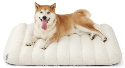 LE SURE Cute Orthopedic Dog Bed Medium Size Dog, Waterproof Chic Flat Pet Beds with Removable Washable Cover, Fuzzy Thick Egg Crate Foam Pet Mat for Indoor Use (30 x 20, Cream)