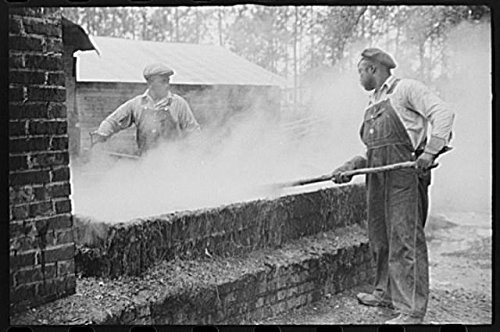 HistoricalFindings Photo: Turpentine,Pembroke,Georgia,GA,Bryan County,FSA,Farm Security Administration,1