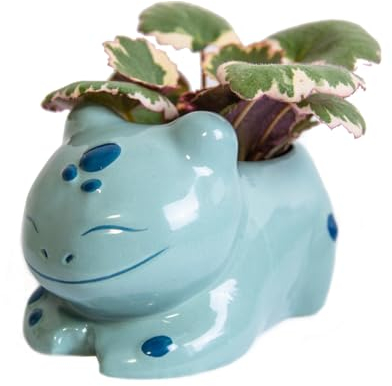 Oaahaf handgemachter Keramik Blumentopf - mit Platz für Untertopf | ⌀ 6cm, passend für Kakteen, Mini Pflanzen, Sukkulenten | Großer, niedlicher und handbemalter Pflanzentopf/Übertopf