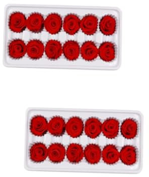 Alipis 24pezzi Box Immortal Flower Bouquet Decorazione Floreale Conservata Per Matrimoni e Occasioni Speciali Romantico Per e Feste