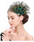 YZROHYI Plumas Pavo Real Pelo,Clip Pelo Plumas Retro,Tocado de Plumas Pavo Real,Diadema de Plumas Mujer,Tocado Carnaval,Adorno Pelo Plumas Accesorios,Horquillas Pelo Plumas,Velo de Plumas de Boda