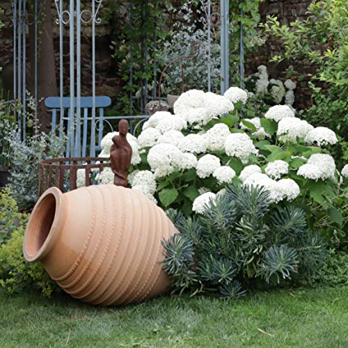 Palatina Werkstatt Exklusiv terrakotta amfora liggande vitex 110 cm – 100 % handgjord unik – Ge din trädgård och inomhus oemotståndlig charm