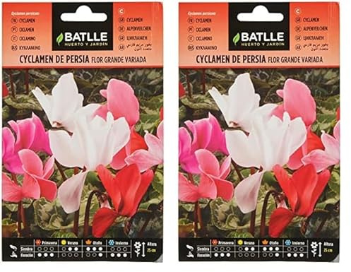 Semillas Batlle Cyclamen Persia Variado (Paquete de 2)
