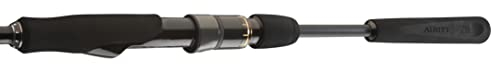 DAIWA Exceler Catfish Spin, 2.70m, 0-185g, Wallerrute