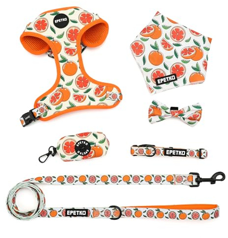 EPETKO Small Dog Harness and Leash Set of 6, No Pull Soft Lightweight Mesh Puppy Harness, Adjustable Cute Floral Pattern Pet Harness for Small Medium Dogs