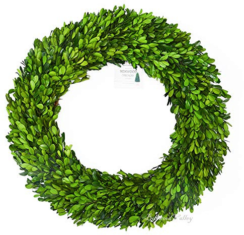Boxwood Wreath 20 inch X-Large, Preserved Natural Boxwood Designed for Christmas Wedding Home Decoration, Farmhouse Style Realistic Full Green Real Decoration, Indoor Home Office Shop Hotel Decor