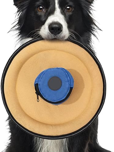 Disques Volants Pour Chien – Récupération Extérieure En Toile, Pochette À Friandises, Disques Volants Réfléchissants, Jouet De Remorqueur Durable | Disque De Jeu D'exercice Pour Petits, Moyens Et Gran