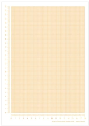 PuK Millimeterpapier Block DIN A4 | seitlich abgedrucktes Lineal | 25 Blatt zum Abreißen | mathematisches Papier | zum Beschreiben und Skizzieren (DIN A4)