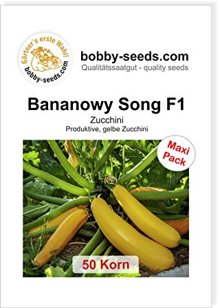 Bananowy Song F1 Zucchinisamen von Bobby-Seeds 50 Korn