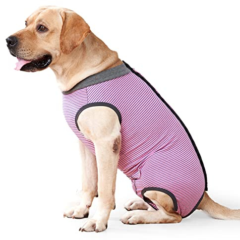 HEYWEAN Traje recuperacion Perro Body Perro postcirujia Camiseta Perro postoperatorio Body Perro esterilizacion Body postquirurgico Perro Alternativa de Collar isabelino Perro