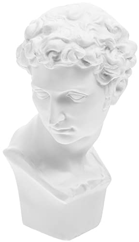 Toyvian Home Decor Statue Classic David Bust Statue Sculpture Figurine Gypsum Portraits Nordic Style Drawing Practice Crafts Home Decoration Home Decor