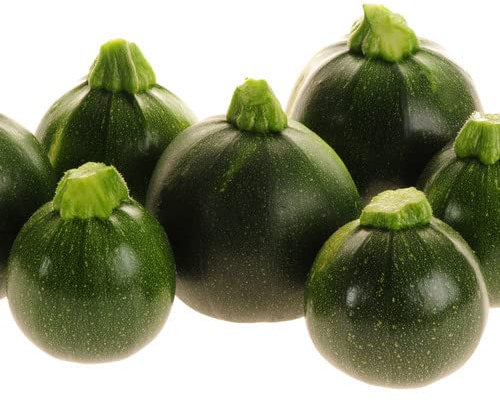 Plant World Seeds - Courgette Eight Ball F1 Seeds (Vegetable Seeds)