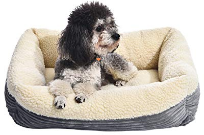 Amazon Basics Cane Lettino per animali domestici, riscaldante, 61 cm, Grigio