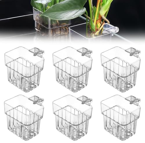 GOMETY 6 supporti per piante per acquario, da appendere, in acrilico, trasparente, per acquari, per acquari, serbatoio di pesce, piante acquatiche, decorazioni Aquascape