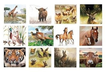 12 Assorted Animal Napkins a Variety of Animal Paper Napkins Decorative Paper for Decoupage Assortment Pack Pretty Horse Hare Giraffe Deer Duck Pheasant Cow for Decoupage Gorgeous, 1 per style 6.5