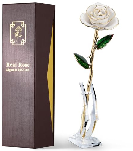 ECO SPACE 24K Gold Dipped Real Rose, Forever Flower, White