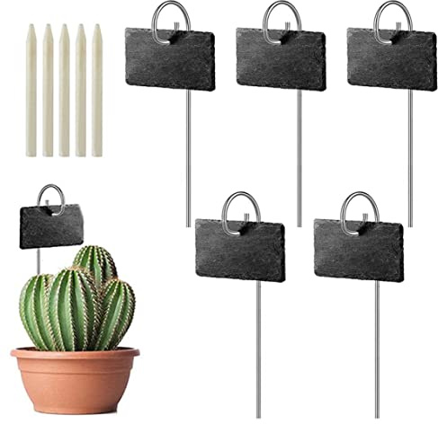 Etiquetas de plantas, etiquetas de plantas de pizarra Señal del marcador de jardín con estacas para plantas Vegetales Vegetales Vegetales 5 piezas de rectángulo negro Forma 4x2.7 pulgadas.