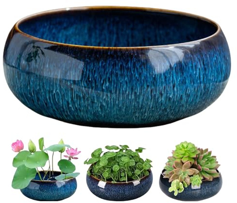 Vaso per piante di loto, ciotola di loto per piantare in acqua, ciotola per bonsai, vaso di semi di loto, decorazione idroponica per interni, vaso da fiori idroponici bianchi (A)