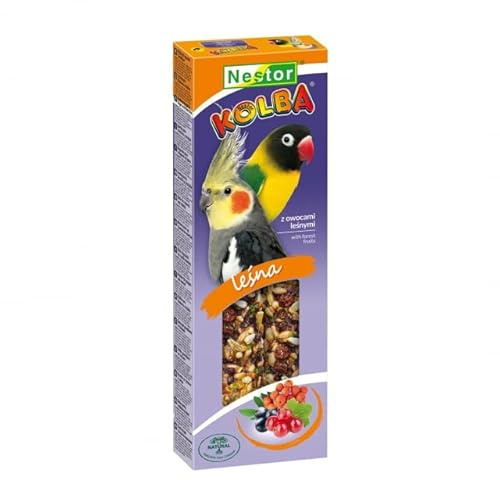 Twin Pack Cockatiel Parrot FOREST FRUITS Seed 2x Sticks Parrots Large Parakeets Cockatoo 115g Bird Food Budgie Canary Finches Seeds Birds Conures Treats Cockatiel Snacks Pack of Two + Hooks