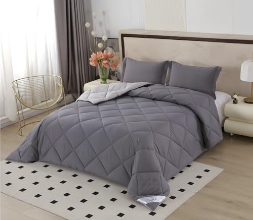 NORA HOME Piumone Matrimoniale Invernale 250x260 Grigio Reversibile. Antiacaro Antibatterico Fibra 3D. Livello Termico Molto Elevato 4.5/5. Piumino Caldo 400 gr/m² - BICOLOR