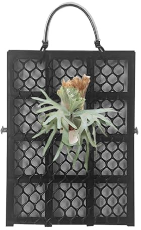Staghorn Kit de montage de fougère, cadre de plantation vertical pour plantes murales, orchidées platycérium, décoration d'intérieur pour jardin, intérieur, extérieur, bureaux, dortoirs, chambre à