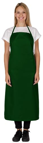 BWOLF TONY Schürze wasserdicht Ölresistenz Arbeitsschürze Schlachthaus Industrielle Schürze Lang (Grün)