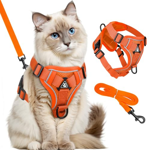 GlasFlength Harnais Chat Réfléchissant avec Laisse, Harnais pour Chat Réglable, Anti Évasion, Souple et Respirant (Orange, S)