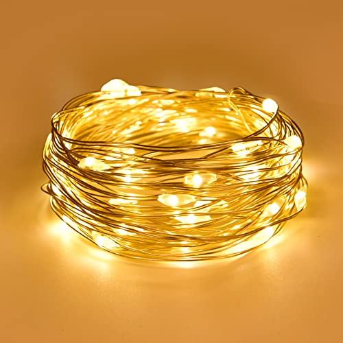 Dalugo Fairy Lights Battery Operated, 2m 20 LED Copper Wire Battery String Lights, Warm White Fairy Lights Indoor for Bedroom Wedding Christmas Jars Bottle Decorations