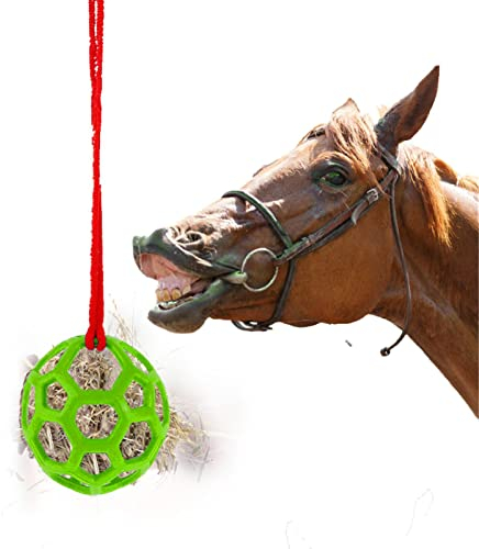 Futterspielball Pferd, Pferdespielzeug Für Die Pferde, Pferdeball, Pferde Spielzeug Für Echte Pferde, Pferd Behandeln Ball Heu Feeder Spielzeug(3 Farben)