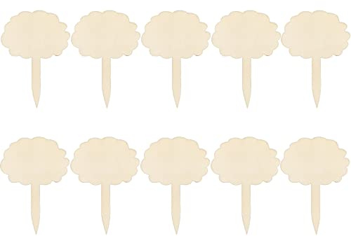 Juego de 20 carteles de madera de alta calidad, para escribir en diferentes formas, accesorios de jardín, bonitos carteles de madera, aprox. 10,8 cm x 6 cm, forma F