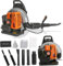 Souffleur à Essence 65 CC, Temps 3,6 CV, souffleur de Jardin, 1 Set souffleuse à Feuilles 2 Temps Moteur souffleuse à Neige Haute résistance pour l'extérieur (EB650-01) (Orange B)