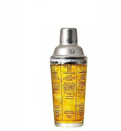 Cocktail Shaker Set Ensemble à Cocktail Shaker Cocktail Shaker 350ml verre en acier inoxydable vin Martini Boston Shaker Mélangeur parfait for mélanger Margarita, Manhattan et autres boissons Shakers