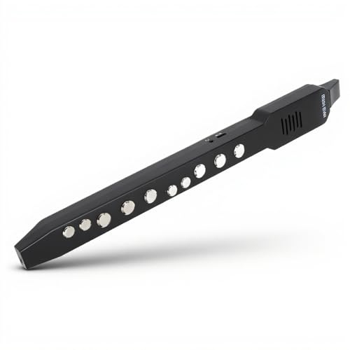 Instrument à Vent Numérique, Haut-parleur HiFi, Connexion MIDI, Instrument à Vent électronique, Boutons Multifonctionnels, Instrument à Vent électrique, avec 12 Accompagnements