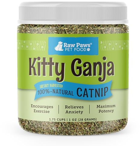Raw Paws Fresh Catnip for Cats, 1-oz (2 Cups) - Use for Refillable Catnip Toys for Cats - Natural Dried Cat Nip