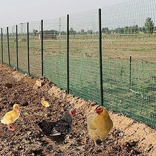 KAnduo Rete Metallica da Giardino Rotolo di Recinzione da Giardino in Filo Verde, Recinzione Multiuso in Filo zincato, Giardino, Recinzione for pollame(1.5x18m)