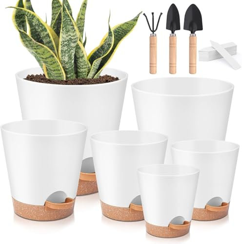 Plant Pots Indoor 8/7/6.5/6/5.5/5 Inch, 6 Pack Self Watering Pots for Indoor Plants, Self Watering Planters with Drainage Hole and Saucers, Plastic Flower Pots for Succulents, Cactus, African Violet