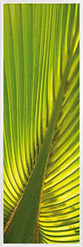 1art1 Palmas Póster Impresión Artística con Marco (Plástico) - Hoja De Palmera De Cáñamo (91 x 30cm)