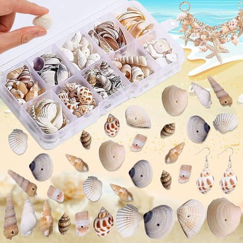 SUpoetry 150-200 Piezas Conchas Pequeñas Mixtas, Conchas Naturales Coloridas, Conchas Pequeñas para Fiestas en La Playa, 8 Tipos de Conchas, Para Relleno de Jarrones de Acuario, Manualidades