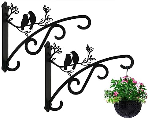 Qktxktzy Hanging Basket Brackets Outdoor Indoor, Large Plant Brackets with Wall Mounted Solid Steel Hooks for Lantern/Light/Bird Feeder, 2 Pcs Garden Hangers 8 inch