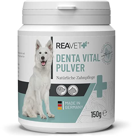 ReaVET Denta Vital Zahnpflege Pulver Hund & Katzen 150g - Zahnsteinentferner, Mittel gegen Zahnstein Hund Katze I Gegen Mundgeruch bei Hunden, Zahnpflege Katzen